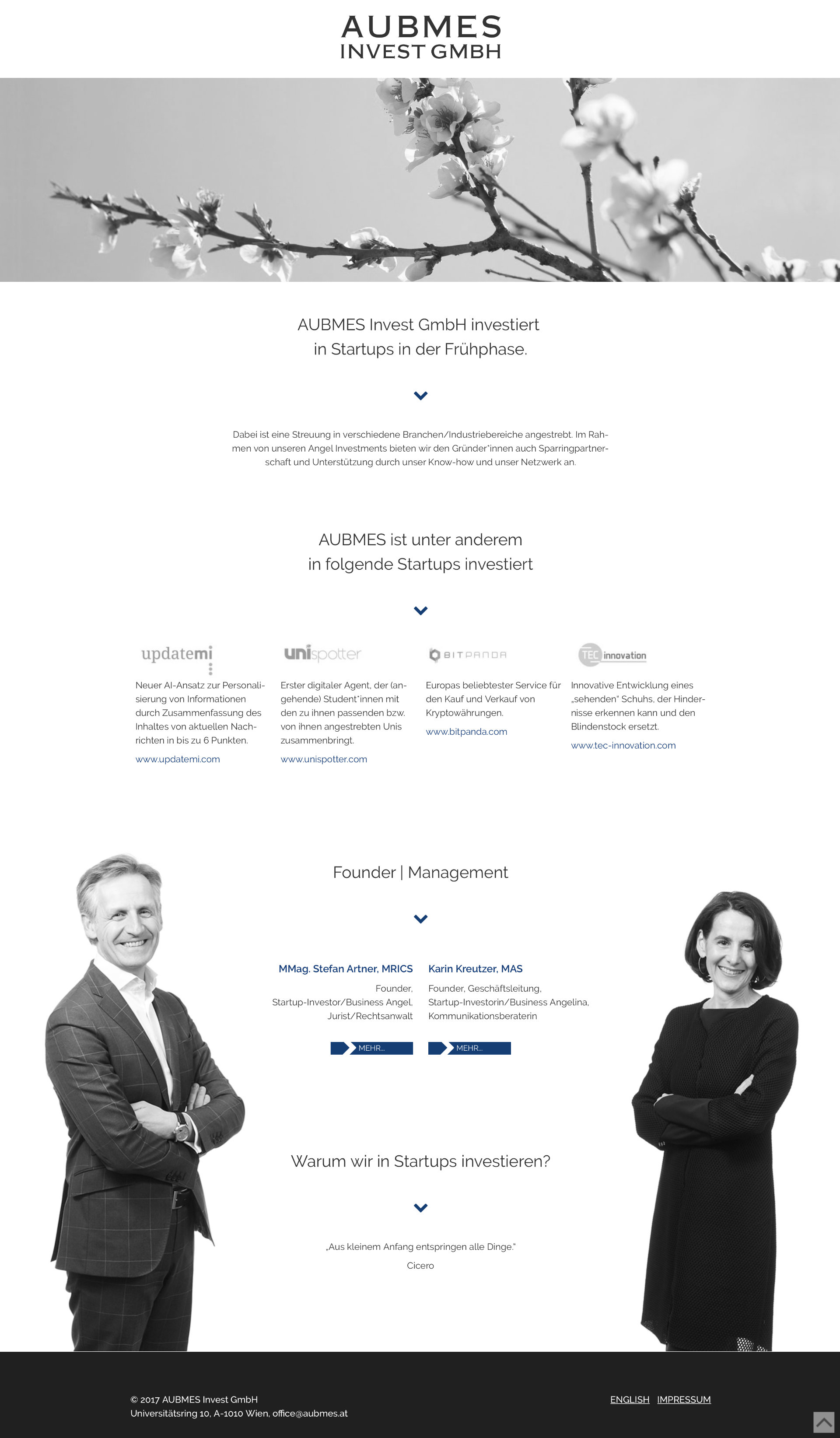 Aubmes Invest Website Screenshot