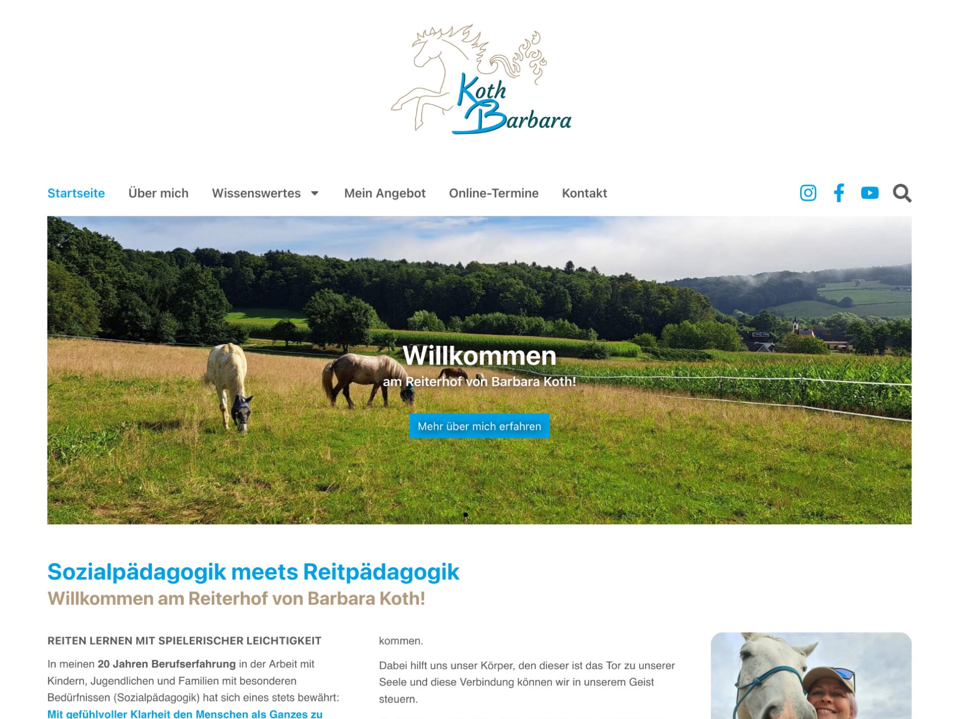 barbara koth website crop